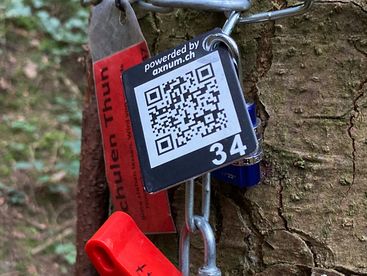 Digitaler OL powered by AxNum