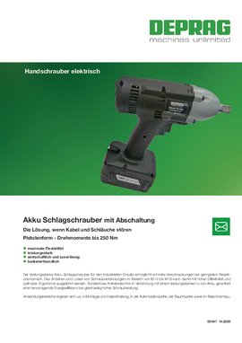 Akkuschlagschrauber (D3487)